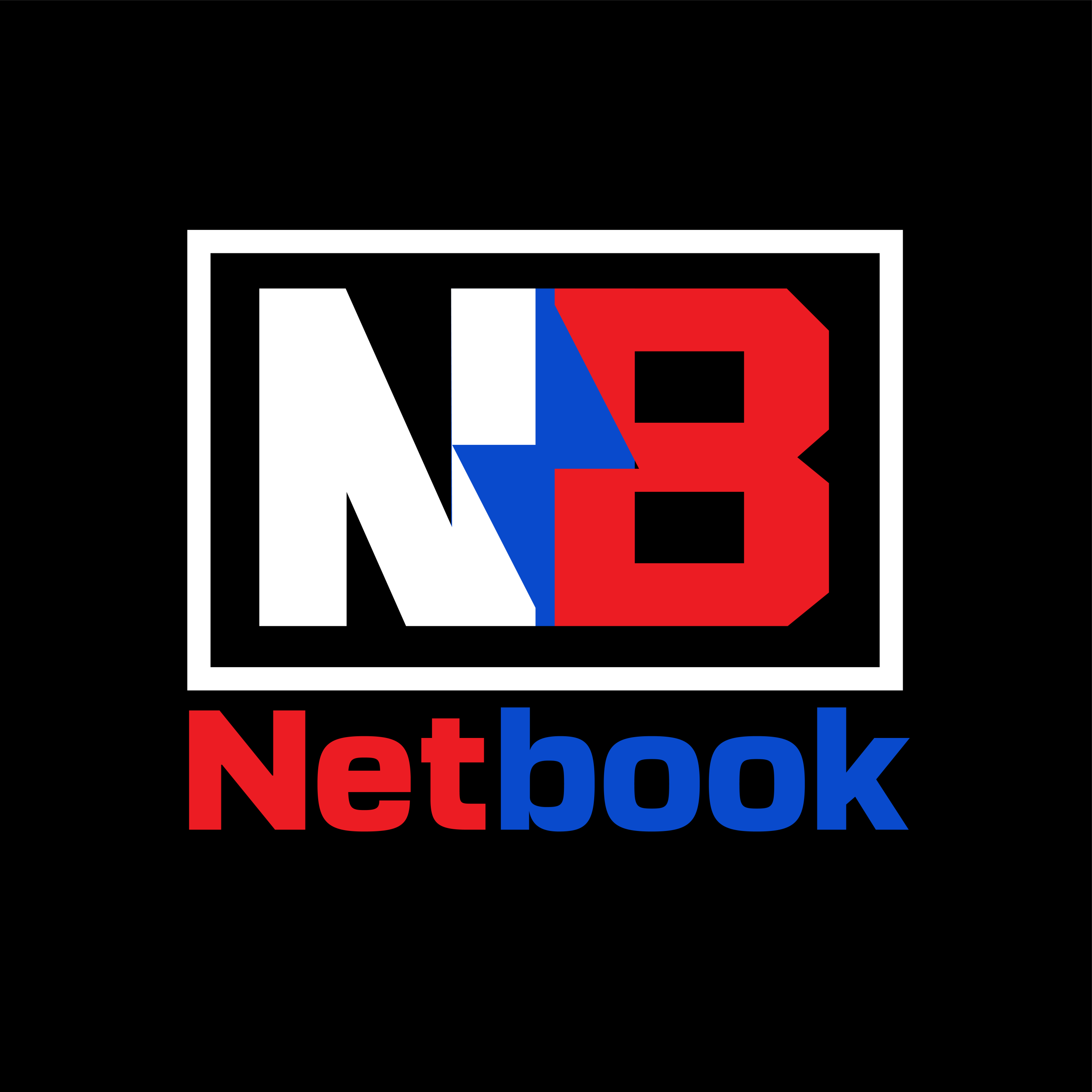 NetBook Logo